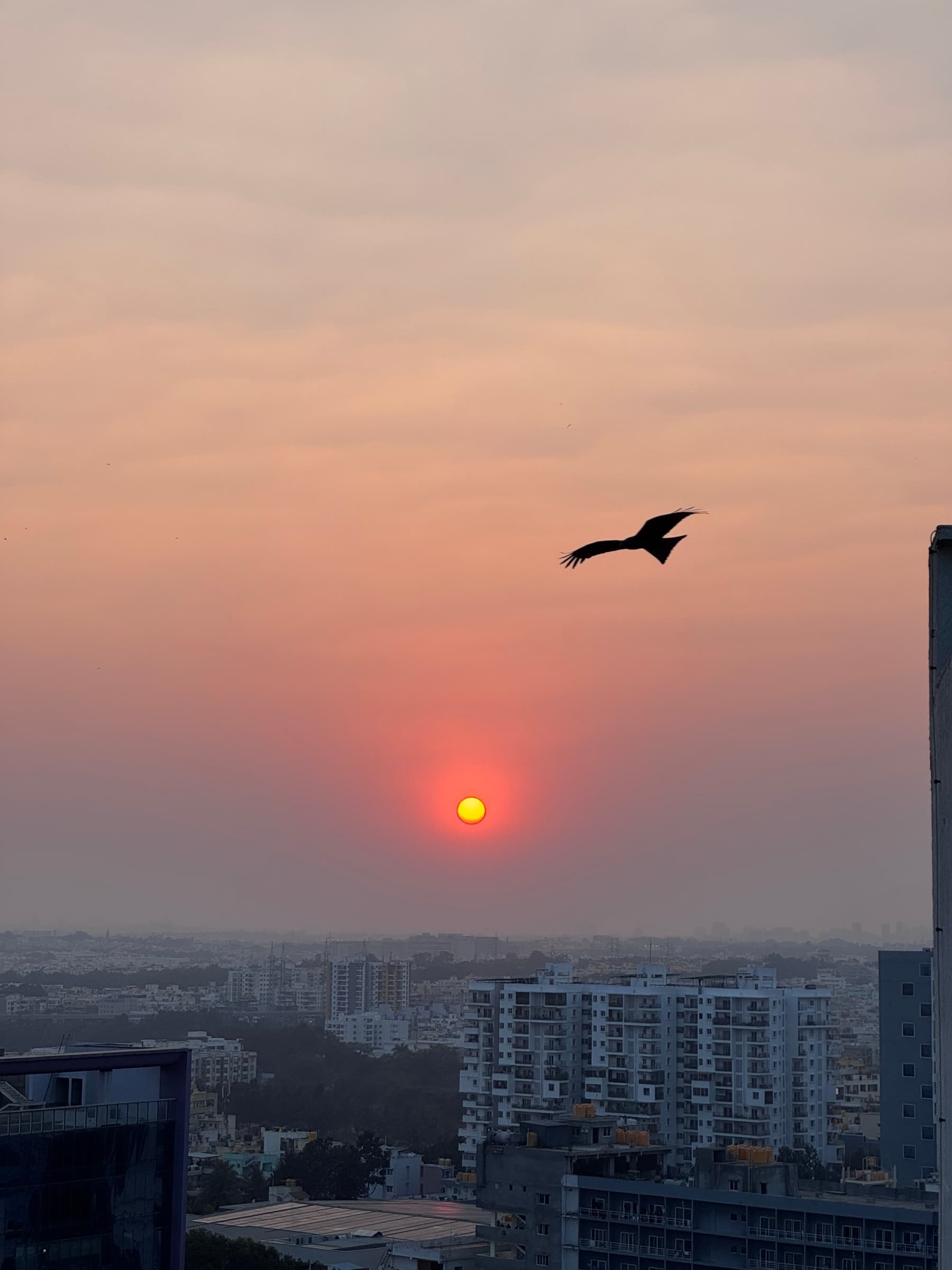 A kite silhouetted against a sunset over the Bengaluru skyline